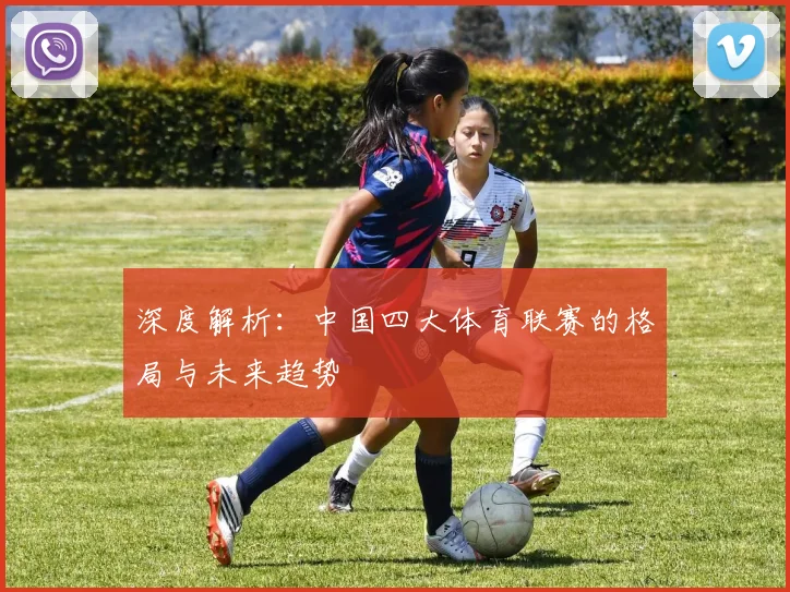 深度解析：中国四大体育联赛的格局与未来趋势