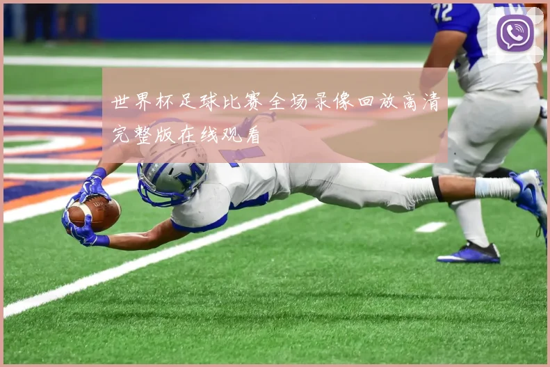 世界杯足球比赛全场录像回放高清完整版在线观看