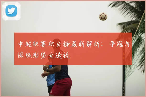 中超联赛积分榜最新解析:争冠与保级形势全透视