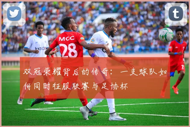 双冠荣耀背后的传奇：一支球队如何同时征服联赛与足协杯